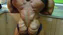 Un dos musclé