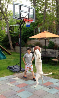 Partie de basket avec son chien