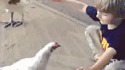 Câlin avec une poule