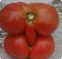 Un conseil : Tape avant d'ouvrir le frigo