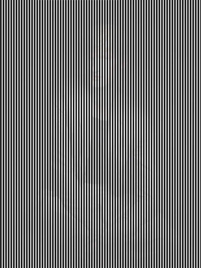 Cette illusion d’optique a été créée par Blommers & Schumm.
il faut s’éloigner de l’écran et pencher légèrement la tête pour voir le portrait.