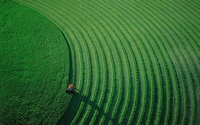 Crop moisson