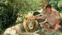 Le roi de la savane