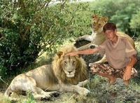 Le roi de la savane