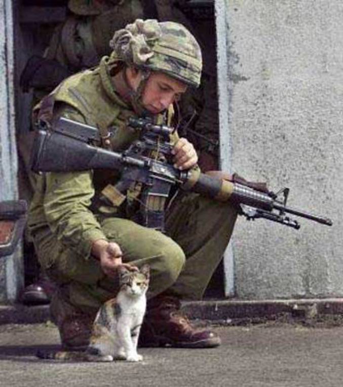 Un militaire aussi peut caresser un pti chat