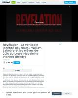 Révélation - La véritable identité des chats