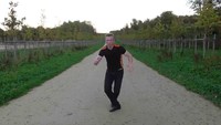 la quintessence de la danse 