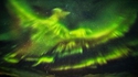 Phoenix islandais