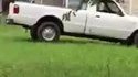 Tondeuse redneck