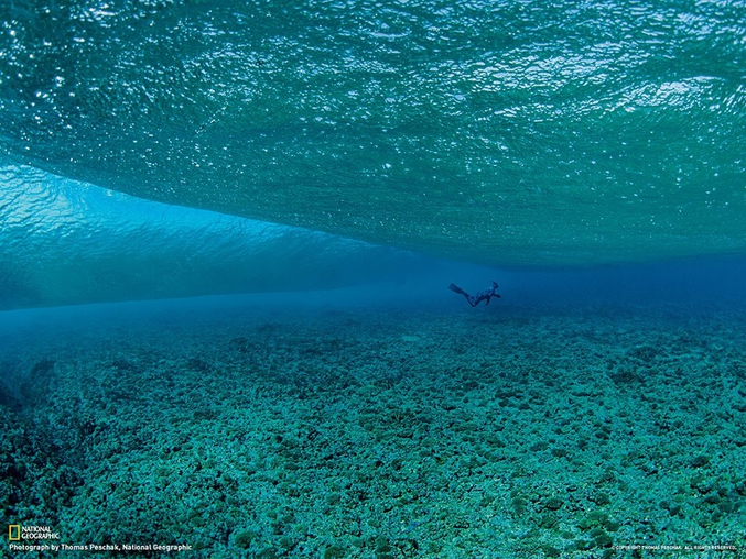 ... on se balade entre terre et air (récif coralien autours de l'Ile Europa, photo de Thomas Peschak pour National Geographic)