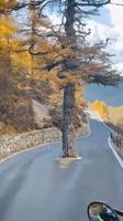 Une route à Daocheng Yading 'Province du Sichuan, Chine)