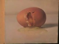 Yolk