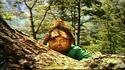 Nainportequi se promène dans la forêt