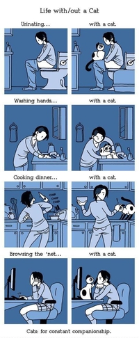 Avec un chat