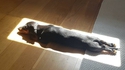 Profiter au maximum du soleil