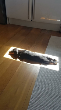 Profiter au maximum du soleil