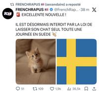 Le métier de pet sitter va être rentable 