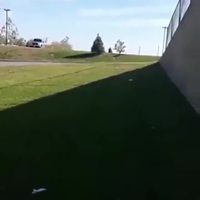 Kan le gros sort de la forêt