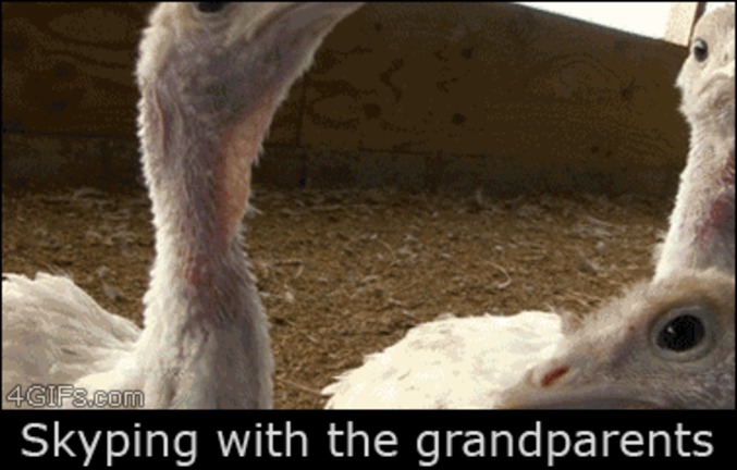 Quand mes grands parents sont sur Skype