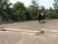 Trou en un