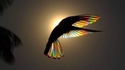 Oiseau arc-en-ciel