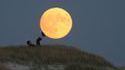 Pousser la lune