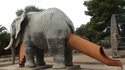Un tobophant