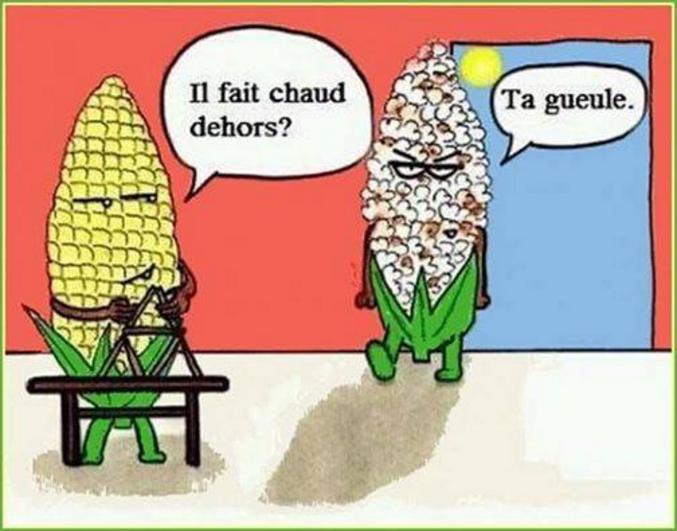 Il s'est éclaté il paraît.