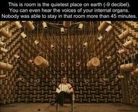 Écouter la voix  ...