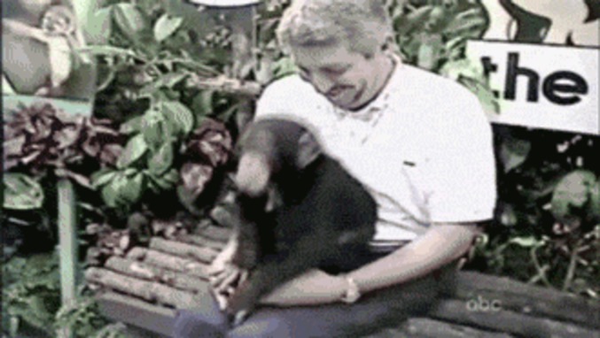 Blague de petit singe