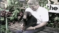 Blague de petit singe