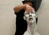 sculpture flippante