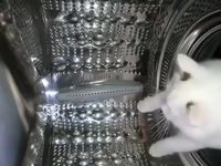 En direct de la véritable station Mir