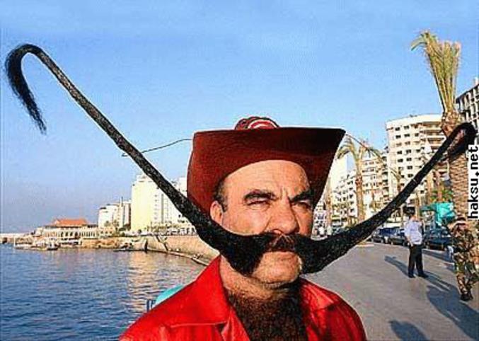 Un homme qui a des moustaches originales