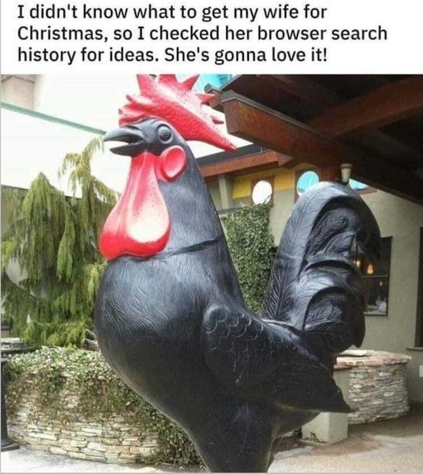 Je ne savais pas quoi offrir à mon épouse pour Noël. Alors, j'ai regardé l'historique de son browser de recherche pour avoir des idées. J'espère qu'elle aimera !
.
.
.
Big black cock signifie gros coq noir, mais... cock signifie aussi argotiquement "bite".