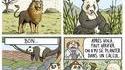 Ou est le panda?