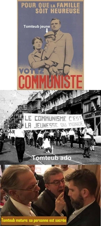 Figure de LLB : Tomteub