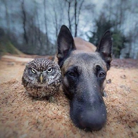 2 potes