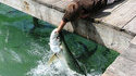 Pêche à la main 2