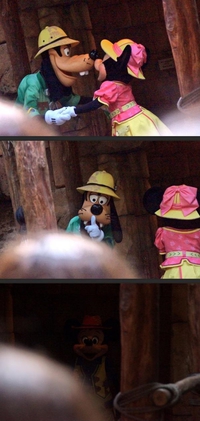 Attention ! Mickey est rentré