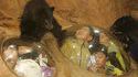 Ris avec les ours