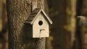 Cabane à oiseau