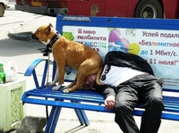 Confortable ?