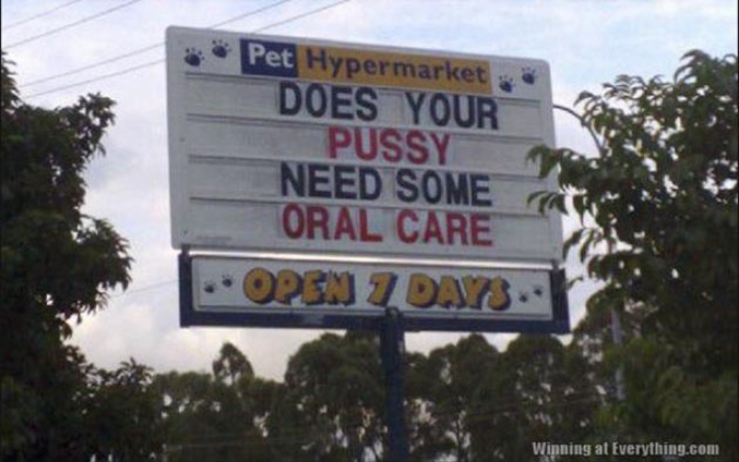 "Votre minou a-t-il besoin d'un soin oral ?"