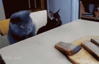 File moi ça