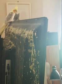 Propre ... quand on ne le voit pas