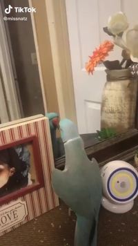 What are you doing ?