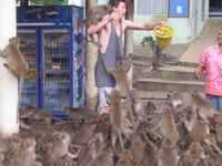Un moment primate