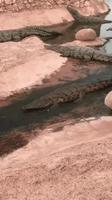 Parc d'attraction : Croco fun