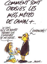 Miss meteo
